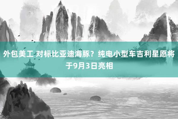 外包美工 对标比亚迪海豚？纯电小型车吉利星愿将于9月3日亮相