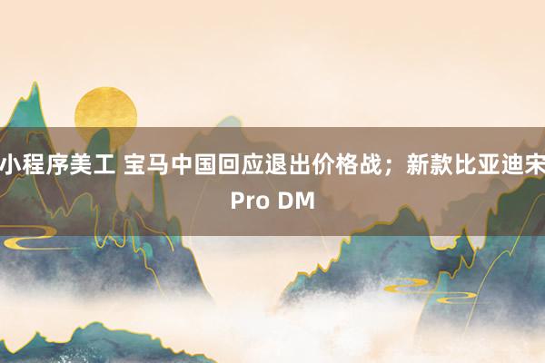 小程序美工 宝马中国回应退出价格战；新款比亚迪宋Pro DM